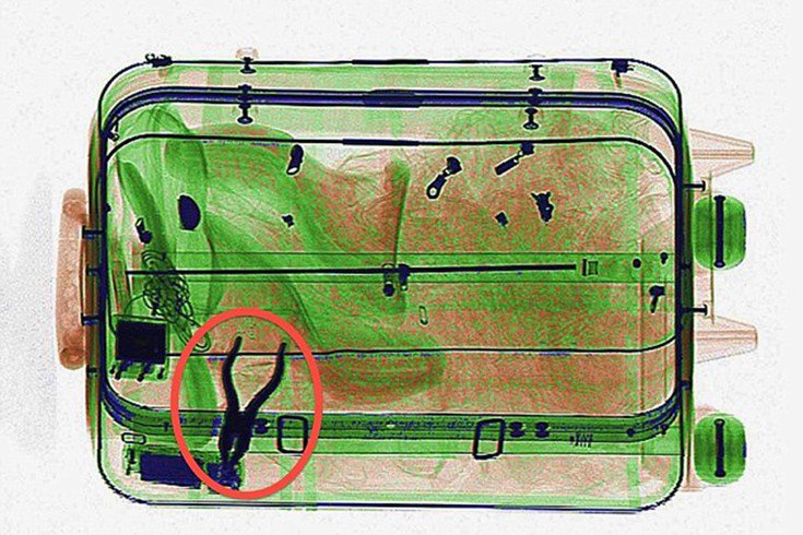 Τι κουβαλάει ο κόσμος μέσα στις βαλίτσες του αεροπλάνου - Φωτογραφία 11