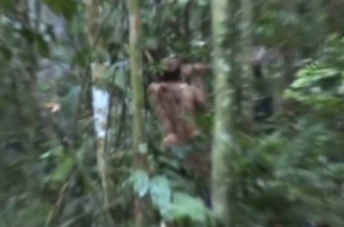Ο τελευταίος επιζών φυλής του Αμαζονίου - Ζει μόνος στη ζούγκλα 22 χρόνια [video] - Φωτογραφία 1