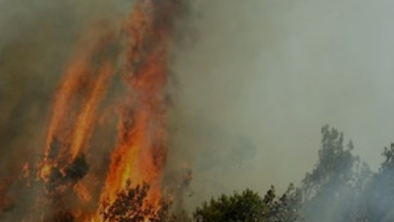 Σε ύφεση οι πυρκαγιές στην Κρήτη - Φωτογραφία 1