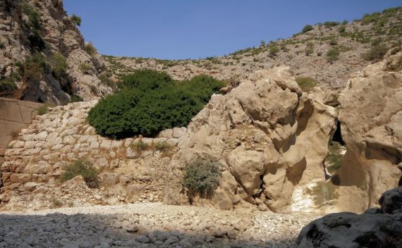 Αρχαίο Φράγμα Αλυζίας: Μετά από εισήγηση της Αρχαιολογικής Υπηρεσίας κόπηκε ο τεράστιος θάμνος που κάλυπτε το μνημείο! - Φωτογραφία 4