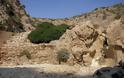 Αρχαίο Φράγμα Αλυζίας: Μετά από εισήγηση της Αρχαιολογικής Υπηρεσίας κόπηκε ο τεράστιος θάμνος που κάλυπτε το μνημείο! - Φωτογραφία 4