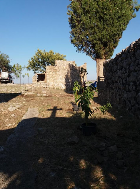 ΚΑΡΑΙΣΚΑΚΗΣ: Εθελοντές ξαναφύτεψαν δέντρα στο Μοναστήρι του Προφήτη Ηλία -ΦΩΤΟ - Φωτογραφία 10