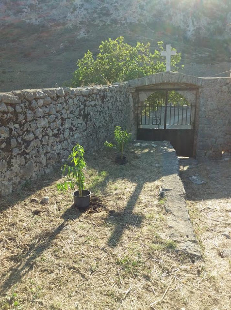 ΚΑΡΑΙΣΚΑΚΗΣ: Εθελοντές ξαναφύτεψαν δέντρα στο Μοναστήρι του Προφήτη Ηλία -ΦΩΤΟ - Φωτογραφία 12