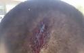 Αχαΐα: Χτύπησε με αξίνα στο κεφάλι εργάτη γιατί ζήτησε τα δεδουλευμένα του - Φωτογραφία 2