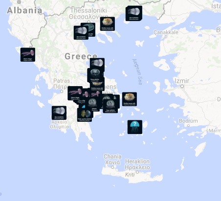 ΠΡΟΣΟΧΗ: Σε αυτές τις ελληνικές παραλίες έχει μέδουσες - Δείτε το χάρτη - Φωτογραφία 3