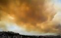 Μεγάλη φωτιά στην Κινέτα - Μέχρι την Εύβοια έφτασαν οι καπνοί! (ΦΩΤΟ & ΒΙΝΤΕΟ)