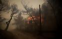 Μαζική εκκένωση στην Κινέτα εξαιτίας της φωτιάς – Εκτροπή κυκλοφορίας στην Εθνική