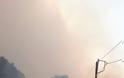 Μεγάλη πυρκαγιά στα Χανιά - Φωτογραφία 2