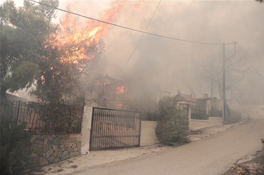 Μάχη με τις φλόγες στην Κινέτα: Η φωτιά έφτασε στην Εθνική οδό - Κάηκαν σπίτια - Φωτογραφία 13