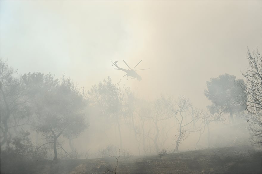 Μάχη με τις φλόγες στην Κινέτα: Η φωτιά έφτασε στην Εθνική οδό - Κάηκαν σπίτια - Φωτογραφία 14
