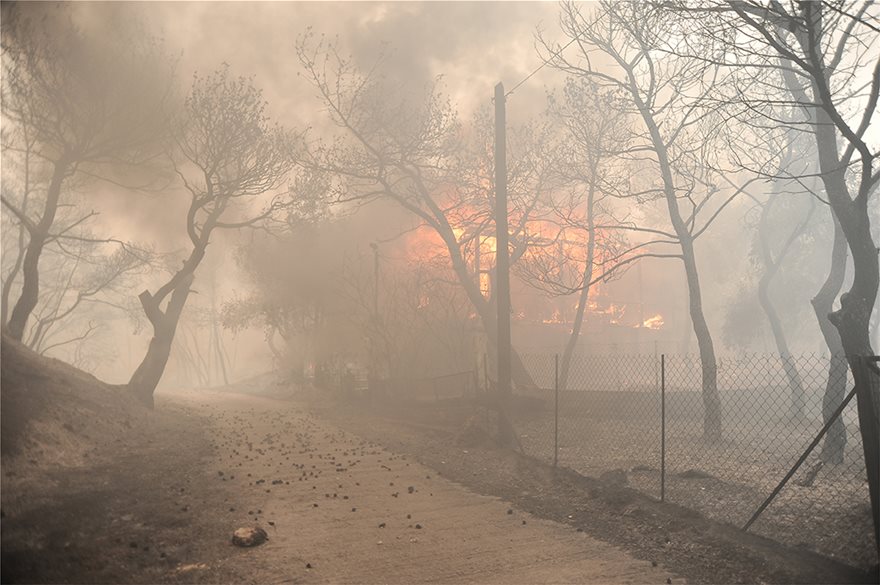 Μάχη με τις φλόγες στην Κινέτα: Η φωτιά έφτασε στην Εθνική οδό - Κάηκαν σπίτια - Φωτογραφία 15