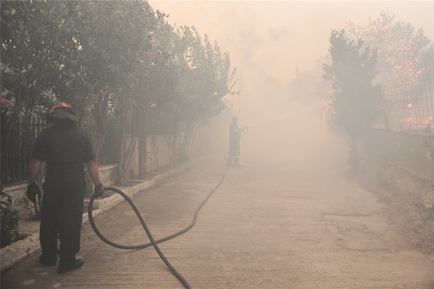 Μάχη με τις φλόγες στην Κινέτα: Η φωτιά έφτασε στην Εθνική οδό - Κάηκαν σπίτια - Φωτογραφία 16
