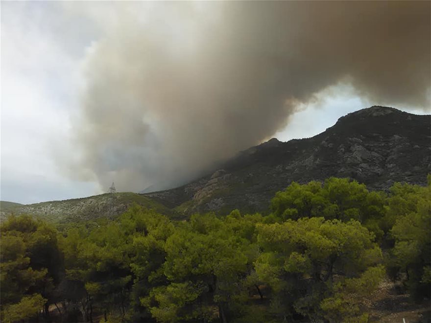 Μάχη με τις φλόγες στην Κινέτα: Η φωτιά έφτασε στην Εθνική οδό - Κάηκαν σπίτια - Φωτογραφία 23