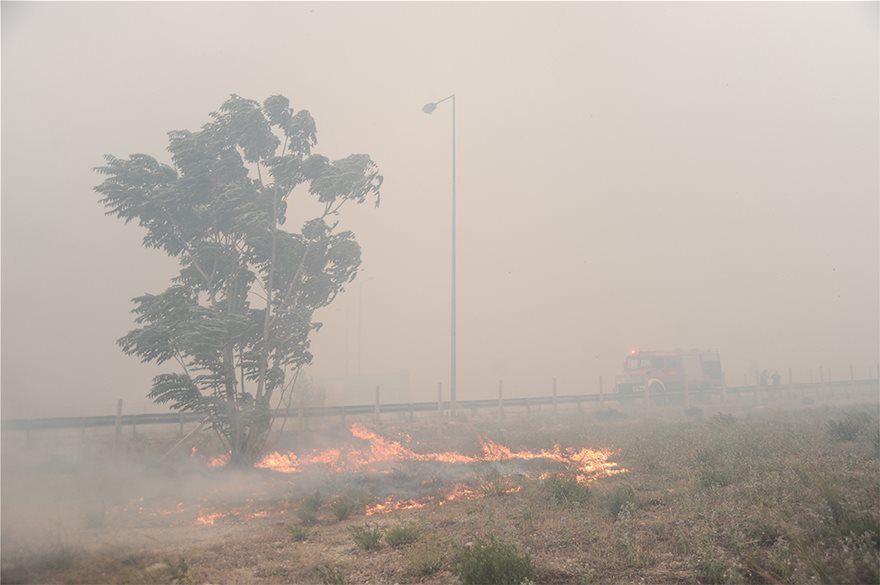 Μάχη με τις φλόγες στην Κινέτα: Η φωτιά έφτασε στην Εθνική οδό - Κάηκαν σπίτια - Φωτογραφία 7