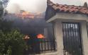 Μάχη με τις φλόγες στην Κινέτα: Η φωτιά έφτασε στην Εθνική οδό - Κάηκαν σπίτια - Φωτογραφία 12