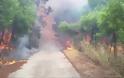 Μάχη με τις φλόγες στην Κινέτα: Η φωτιά έφτασε στην Εθνική οδό - Κάηκαν σπίτια - Φωτογραφία 2