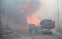 Μάχη με τις φλόγες στην Κινέτα: Η φωτιά έφτασε στην Εθνική οδό - Κάηκαν σπίτια - Φωτογραφία 6