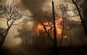 Μεγάλη φωτιά στην Κινέτα -Εκκενώθηκαν τρεις οικισμοί, καίγονται σπίτια - Φωτογραφία 1