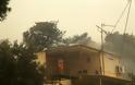 Μεγάλη φωτιά στην Κινέτα -Εκκενώθηκαν τρεις οικισμοί, καίγονται σπίτια - Φωτογραφία 10
