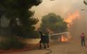 Μεγάλη φωτιά στην Κινέτα -Εκκενώθηκαν τρεις οικισμοί, καίγονται σπίτια - Φωτογραφία 12