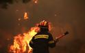 Μεγάλη φωτιά στην Κινέτα -Εκκενώθηκαν τρεις οικισμοί, καίγονται σπίτια - Φωτογραφία 13