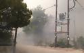 Μεγάλη φωτιά στην Κινέτα -Εκκενώθηκαν τρεις οικισμοί, καίγονται σπίτια - Φωτογραφία 15