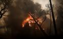 Μεγάλη φωτιά στην Κινέτα -Εκκενώθηκαν τρεις οικισμοί, καίγονται σπίτια - Φωτογραφία 3