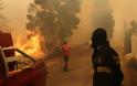 Μεγάλη φωτιά στην Κινέτα -Εκκενώθηκαν τρεις οικισμοί, καίγονται σπίτια - Φωτογραφία 5
