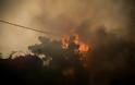 Μεγάλη φωτιά στην Κινέτα -Εκκενώθηκαν τρεις οικισμοί, καίγονται σπίτια - Φωτογραφία 9