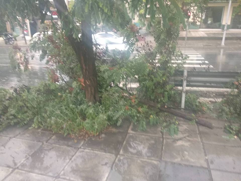 Θεσσαλονίκη: Καταρρακτώδης βροχή και χαλάζι – Σημειώθηκαν πτώσεις δέντρων [photos+video] - Φωτογραφία 2