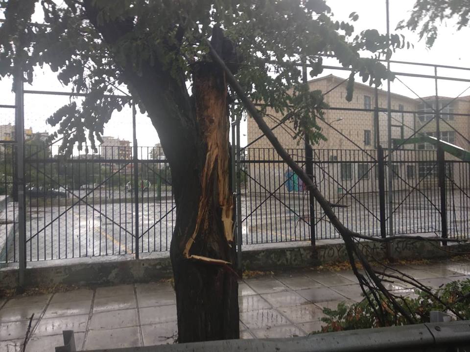 Θεσσαλονίκη: Καταρρακτώδης βροχή και χαλάζι – Σημειώθηκαν πτώσεις δέντρων [photos+video] - Φωτογραφία 4