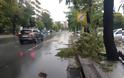 Θεσσαλονίκη: Καταρρακτώδης βροχή και χαλάζι – Σημειώθηκαν πτώσεις δέντρων [photos+video] - Φωτογραφία 5