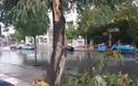 Θεσσαλονίκη: Καταρρακτώδης βροχή και χαλάζι – Σημειώθηκαν πτώσεις δέντρων [photos+video] - Φωτογραφία 6