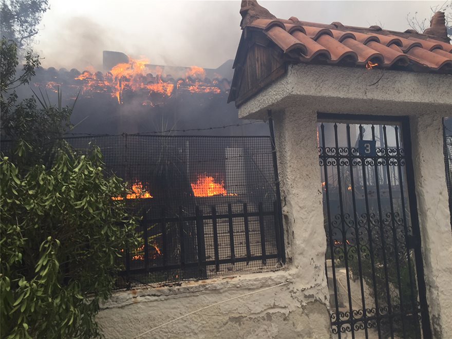 Πύρινη κόλαση στην Κινέτα: Κάηκαν σπίτια, εκκενώθηκαν οικισμοί - Φωτογραφία 12
