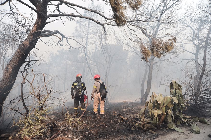 Πύρινη κόλαση στην Κινέτα: Κάηκαν σπίτια, εκκενώθηκαν οικισμοί - Φωτογραφία 23