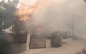 Πύρινη κόλαση στην Κινέτα: Κάηκαν σπίτια, εκκενώθηκαν οικισμοί - Φωτογραφία 13