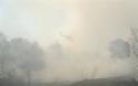 Πύρινη κόλαση στην Κινέτα: Κάηκαν σπίτια, εκκενώθηκαν οικισμοί - Φωτογραφία 14
