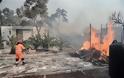Πύρινη κόλαση στην Κινέτα: Κάηκαν σπίτια, εκκενώθηκαν οικισμοί - Φωτογραφία 24