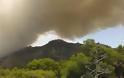 Πύρινη κόλαση στην Κινέτα: Κάηκαν σπίτια, εκκενώθηκαν οικισμοί - Φωτογραφία 29