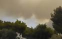 Πύρινη κόλαση στην Κινέτα: Κάηκαν σπίτια, εκκενώθηκαν οικισμοί - Φωτογραφία 31
