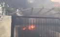 Πύρινη κόλαση στην Κινέτα: Κάηκαν σπίτια, εκκενώθηκαν οικισμοί - Φωτογραφία 6