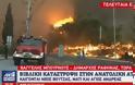 Δήμαρχος Ραφήνας: «Σίγουρα υπάρχουν και νεκροί από την φωτιά! Έχουν καεί τουλάχιστον 200 σπίτια!» (ΒΙΝΤΕΟ)
