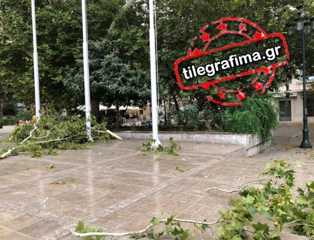 Ο ισχυρός αέρας έκοψε δέντρα στην Αθήνα - Κινδύνευσαν τουρίστες - Φωτογραφία 2