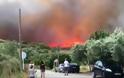 Δήμαρχος Ραφήνας - Πικερμίου: Κάηκαν πάνω από 200 σπίτια - Φοβάμαι για νεκρούς - Φωτογραφία 2