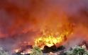 Δήμαρχος Ραφήνας - Πικερμίου: Κάηκαν πάνω από 200 σπίτια - Φοβάμαι για νεκρούς - Φωτογραφία 4