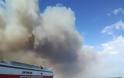 Δήμαρχος Ραφήνας - Πικερμίου: Κάηκαν πάνω από 200 σπίτια - Φοβάμαι για νεκρούς - Φωτογραφία 6