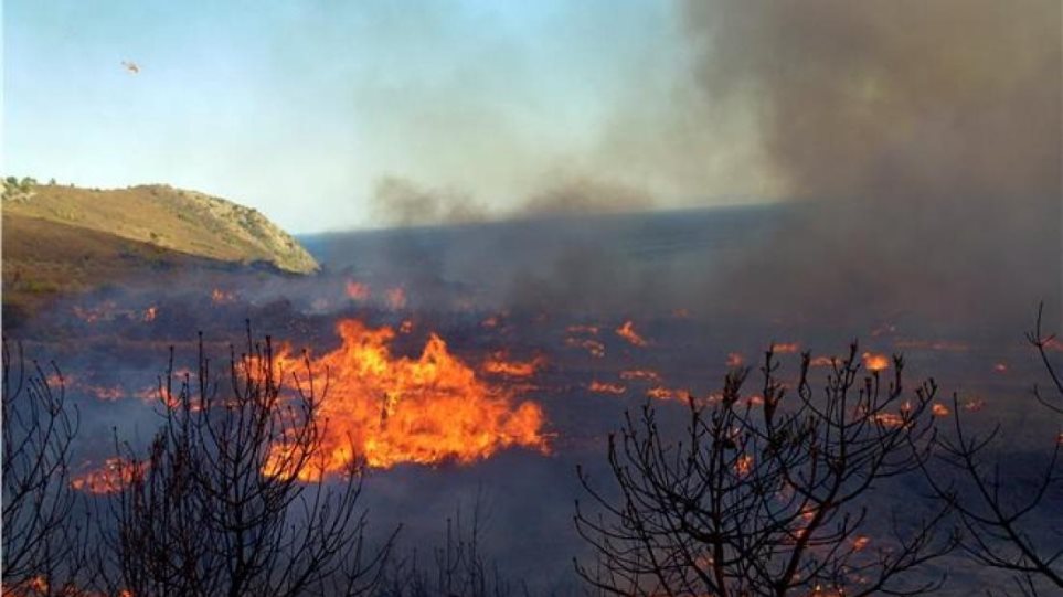 Μυτιλήνη: Έσβησε η φωτιά που ξέσπασε το απόγευμα κοντά στην Αγιάσο - Φωτογραφία 1