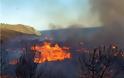 Μυτιλήνη: Έσβησε η φωτιά που ξέσπασε το απόγευμα κοντά στην Αγιάσο