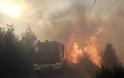 Αλεξανδρούπολη: Συνεχίζεται η μάχη με τις φλόγες στην περιοχή της Λευκίμης