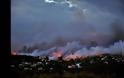 Ανείπωτη τραγωδία στην Αττική: Δεκάδες νεκροί και εκατοντάδες τραυματίες από τη φονική πυρκαγιά! (ΦΩΤΟ & ΒΙΝΤΕΟ) - Φωτογραφία 2